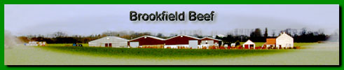 Brookfield Farm