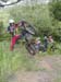 DSCN0993